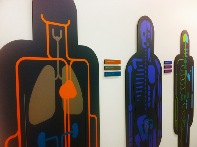 UCL Pathology Museum